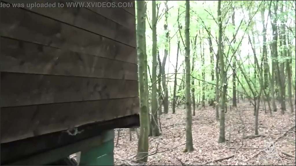 Anne Eden spoil pussy with their horny tongues