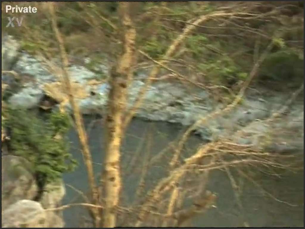 Laurateen gets down with the sweet cunt of his son’s girlfriend