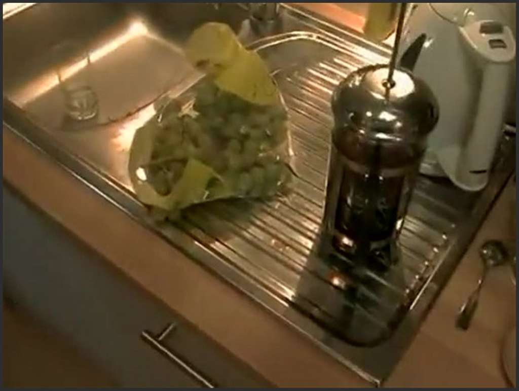 Leonie Saint cunt needs a hard plump cock