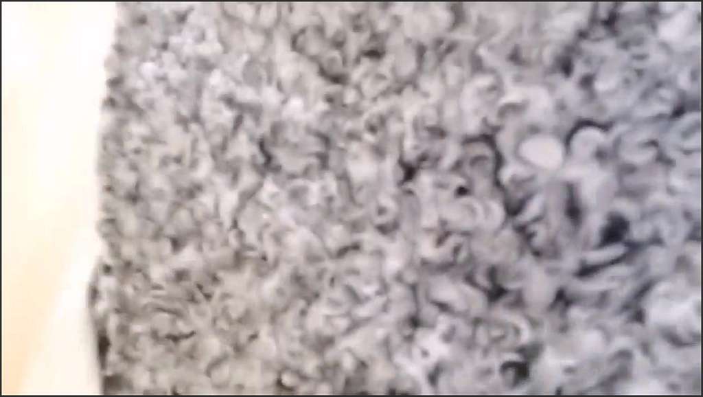 Nicoletta Embassi blow a fat beating